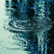 ヒメ日記 2025/09/20 22:36 投稿 成瀬麻友 お姉さんCLUB