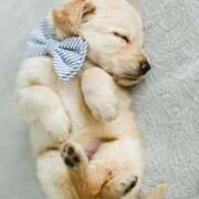 ヒメ日記 2025/09/20 23:13 投稿 成瀬麻友 お姉さんCLUB