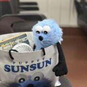 ヒメ日記 2025/09/23 18:06 投稿 成瀬麻友 お姉さんCLUB