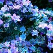 ヒメ日記 2025/09/24 00:21 投稿 成瀬麻友 お姉さんCLUB