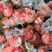 ヒメ日記 2025/10/01 15:42 投稿 成瀬麻友 お姉さんCLUB