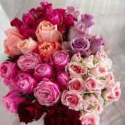 ヒメ日記 2025/10/28 11:48 投稿 成瀬麻友 お姉さんCLUB