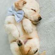 ヒメ日記 2025/11/09 00:33 投稿 成瀬麻友 お姉さんCLUB