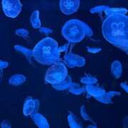 ヒメ日記 2025/11/14 15:27 投稿 成瀬麻友 お姉さんCLUB