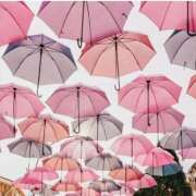 成瀬麻友 今日 お姉さんCLUB