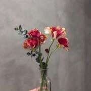 ヒメ日記 2026/01/07 10:48 投稿 成瀬麻友 お姉さんCLUB