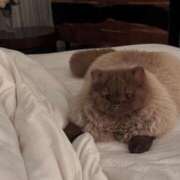 ヒメ日記 2026/01/10 11:03 投稿 成瀬麻友 お姉さんCLUB