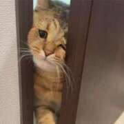 ヒメ日記 2026/01/15 01:18 投稿 成瀬麻友 お姉さんCLUB