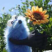 ヒメ日記 2026/02/04 17:20 投稿 成瀬麻友 お姉さんCLUB