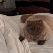 ヒメ日記 2026/02/08 00:18 投稿 成瀬麻友 お姉さんCLUB