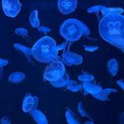 ヒメ日記 2026/02/26 21:12 投稿 成瀬麻友 お姉さんCLUB