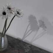 ヒメ日記 2026/03/01 20:33 投稿 成瀬麻友 お姉さんCLUB