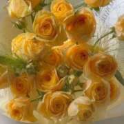 ヒメ日記 2026/03/20 08:33 投稿 成瀬麻友 お姉さんCLUB