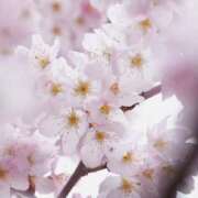 ヒメ日記 2026/04/01 08:18 投稿 成瀬麻友 お姉さんCLUB