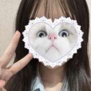 ヒメ日記 2025/05/21 22:23 投稿 ふりる 2980円