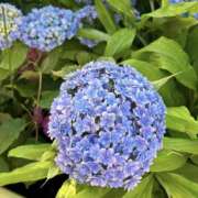 ヒメ日記 2025/06/07 21:20 投稿 葉月★ 恵里亜(エリア)