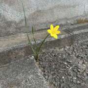 葉月★ すき間の光 恵里亜(エリア)