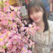 ヒメ日記 2025/04/26 21:10 投稿 こころ チューリップ土浦店