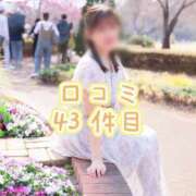 ヒメ日記 2025/07/31 19:18 投稿 こころ チューリップ土浦店