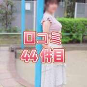 ヒメ日記 2025/08/03 19:18 投稿 こころ チューリップ土浦店