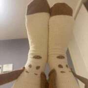 ヒメ日記 2025/11/02 09:58 投稿 こころ チューリップ土浦店