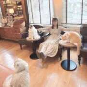 ヒメ日記 2025/11/20 21:22 投稿 こころ チューリップ土浦店