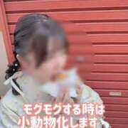 ヒメ日記 2025/11/22 20:08 投稿 こころ チューリップ土浦店