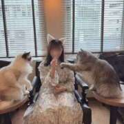 ヒメ日記 2025/11/24 15:58 投稿 こころ チューリップ土浦店