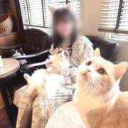 ヒメ日記 2025/11/29 22:38 投稿 こころ チューリップ土浦店