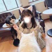 ヒメ日記 2026/01/18 23:18 投稿 こころ チューリップ土浦店