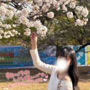 ヒメ日記 2025/04/17 10:37 投稿 なずな 横浜コスプレデビュー（シンデレラグループ）