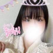 ヒメ日記 2025/04/17 21:57 投稿 なずな 横浜コスプレデビュー（シンデレラグループ）