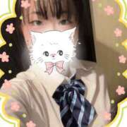 ヒメ日記 2025/05/05 16:32 投稿 なずな 横浜コスプレデビュー（シンデレラグループ）