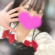 ヒメ日記 2025/08/10 16:14 投稿 なずな 横浜コスプレデビュー（シンデレラグループ）