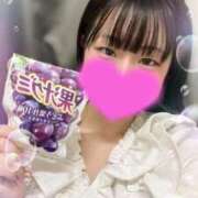 ヒメ日記 2025/08/28 14:44 投稿 なずな 横浜コスプレデビュー（シンデレラグループ）