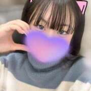 ヒメ日記 2025/11/15 19:39 投稿 なずな 横浜コスプレデビュー（シンデレラグループ）