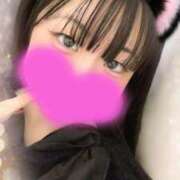 ヒメ日記 2025/11/25 23:59 投稿 なずな 横浜コスプレデビュー（シンデレラグループ）