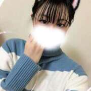 ヒメ日記 2026/01/03 01:27 投稿 なずな 横浜コスプレデビュー（シンデレラグループ）