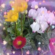 ヒメ日記 2025/04/12 22:33 投稿 りえ 熟女の風俗最終章 所沢店