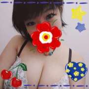 ちえり ドキドキ ちゃんこ藤沢茅ヶ崎店