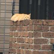 ヒメ日記 2025/05/26 19:57 投稿 相沢 あなたに逢いたくて