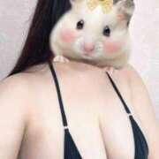 ヒメ日記 2025/04/13 12:10 投稿 そら SPIN(スピン)