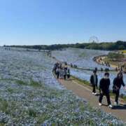 ヒメ日記 2025/05/01 12:31 投稿 そら SPIN(スピン)