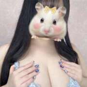 ヒメ日記 2025/04/19 12:31 投稿 そら 新宿スピン