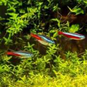 ヒメ日記 2025/06/21 08:30 投稿 えり 岐阜岐南各務原ちゃんこ