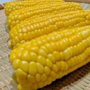 ヒメ日記 2025/07/05 09:07 投稿 えり 岐阜岐南各務原ちゃんこ