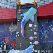 ヒメ日記 2025/10/15 20:37 投稿 えり 岐阜岐南各務原ちゃんこ