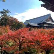 ヒメ日記 2025/11/22 09:17 投稿 えり 岐阜岐南各務原ちゃんこ