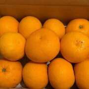 ヒメ日記 2025/12/14 08:27 投稿 えり 岐阜岐南各務原ちゃんこ