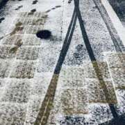 ヒメ日記 2026/02/08 08:07 投稿 えり 岐阜岐南各務原ちゃんこ